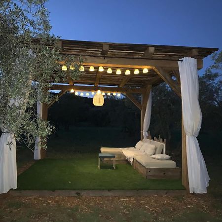 La Bergerie De Cigalon Bed & Breakfast Mouries Exterior foto